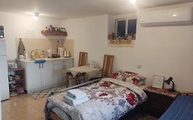 Maister Apt